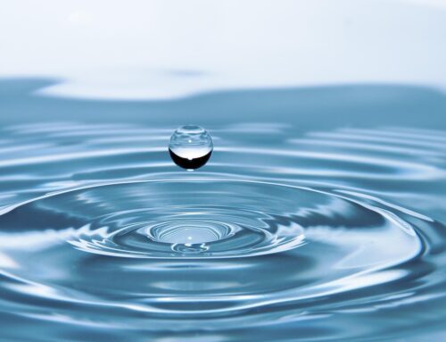 Plénière du 24 Juin 2025 : Quelle eau consommons-nous ?