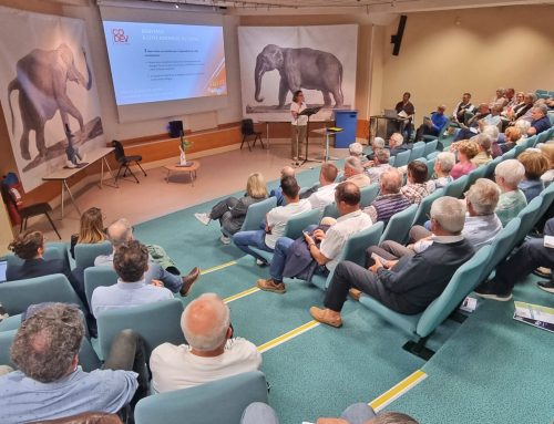 Présentation publique du bilan du mandat 2021-2026 du CoDev… LE 10 JUIN